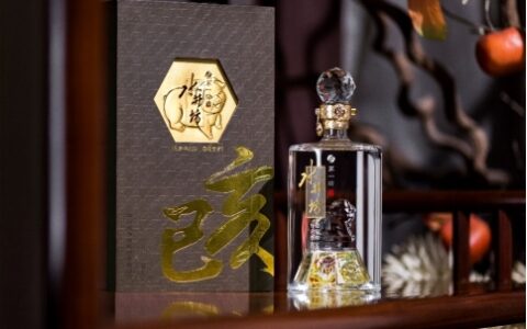 水井坊是哪里的酒？2026年选购指南与几款经典推荐