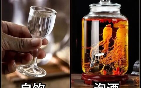 白酒泡酒五大基本原则！
