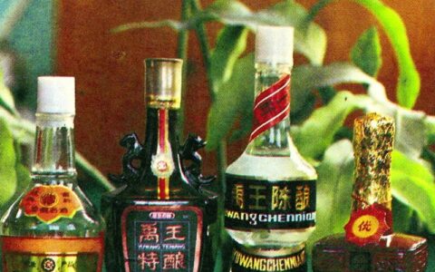 安徽美食丨1988年怀远县酒厂的乳泉牌禹王陈酿
