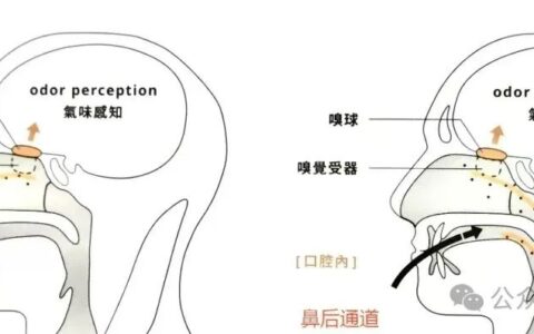 品酒，要区别口感与喝感