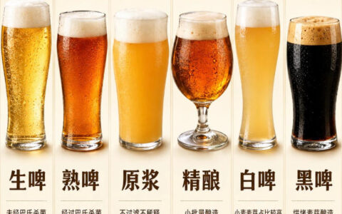 啤酒怎么选？精酿、原浆、纯生、IPA、白啤一篇讲透