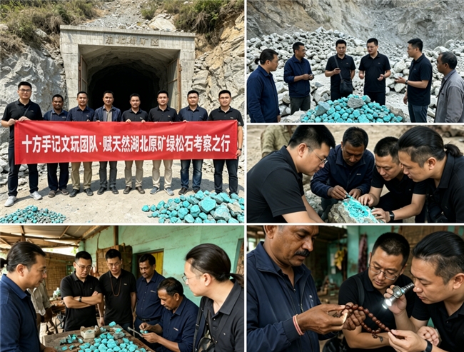 新手买绿松石选什么品牌最稳妥?2026认准产品按瓷度清晰划分入门进阶收藏三大梯度