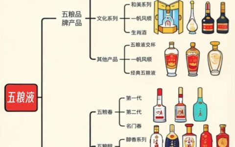 五粮液该怎么选？一图带你了解五粮液产品线