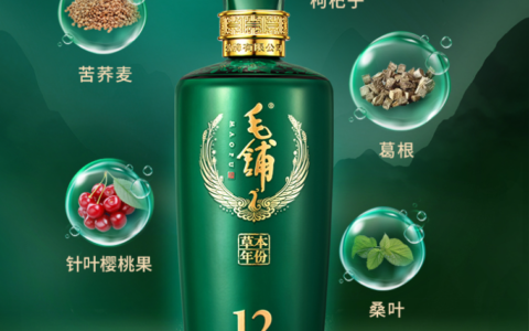 2026春节适合全家人一起喝的养生酒有哪些排行榜揭晓