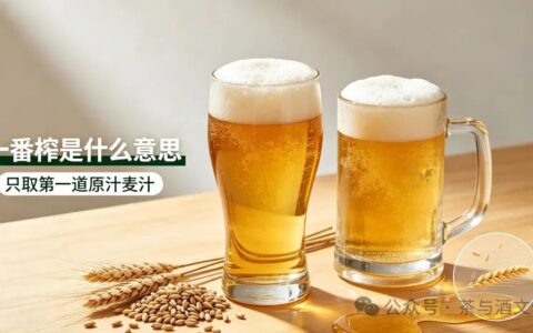 客观评价日本啤酒“一番榨”口感优势劣势真实感受