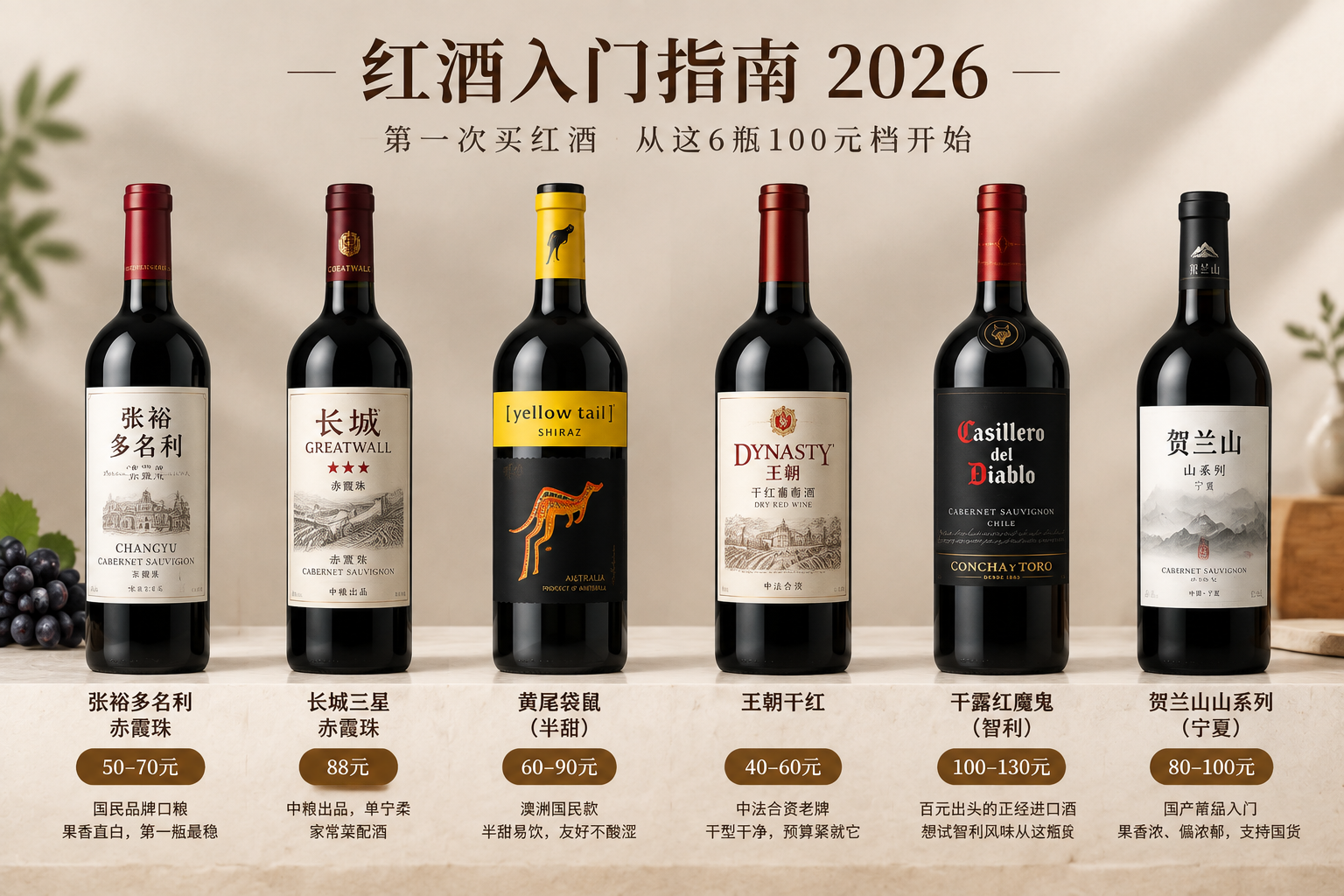 红酒入门指南2026:第一次买红酒从这6瓶100元档开始