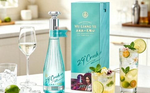 2026 低度酒江湖大战：名酒派、露酒派、果酒派、饮料派谁能称王？行业深度分析