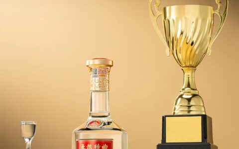 2026年朋友聚会白酒推荐：五粮特曲十周年领衔中端浓香